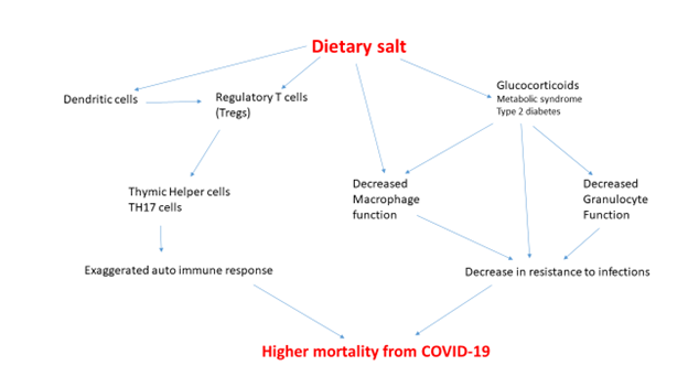 Salt, COVID-19 and Mortality in Black America